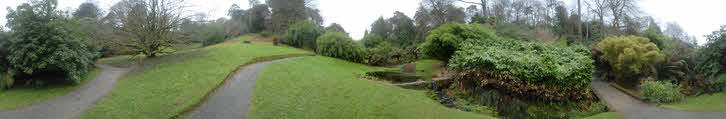 Azolla Pool