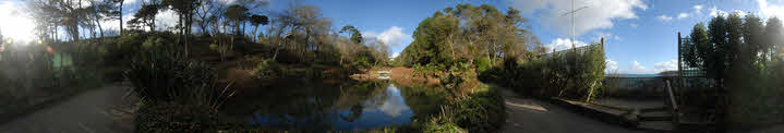 Mallard Pond