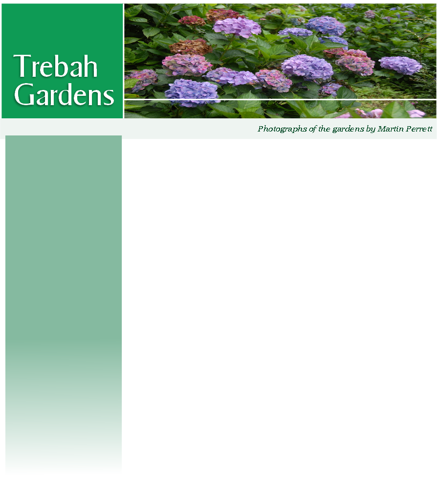 Photographs of the gardens by Martin Perrett